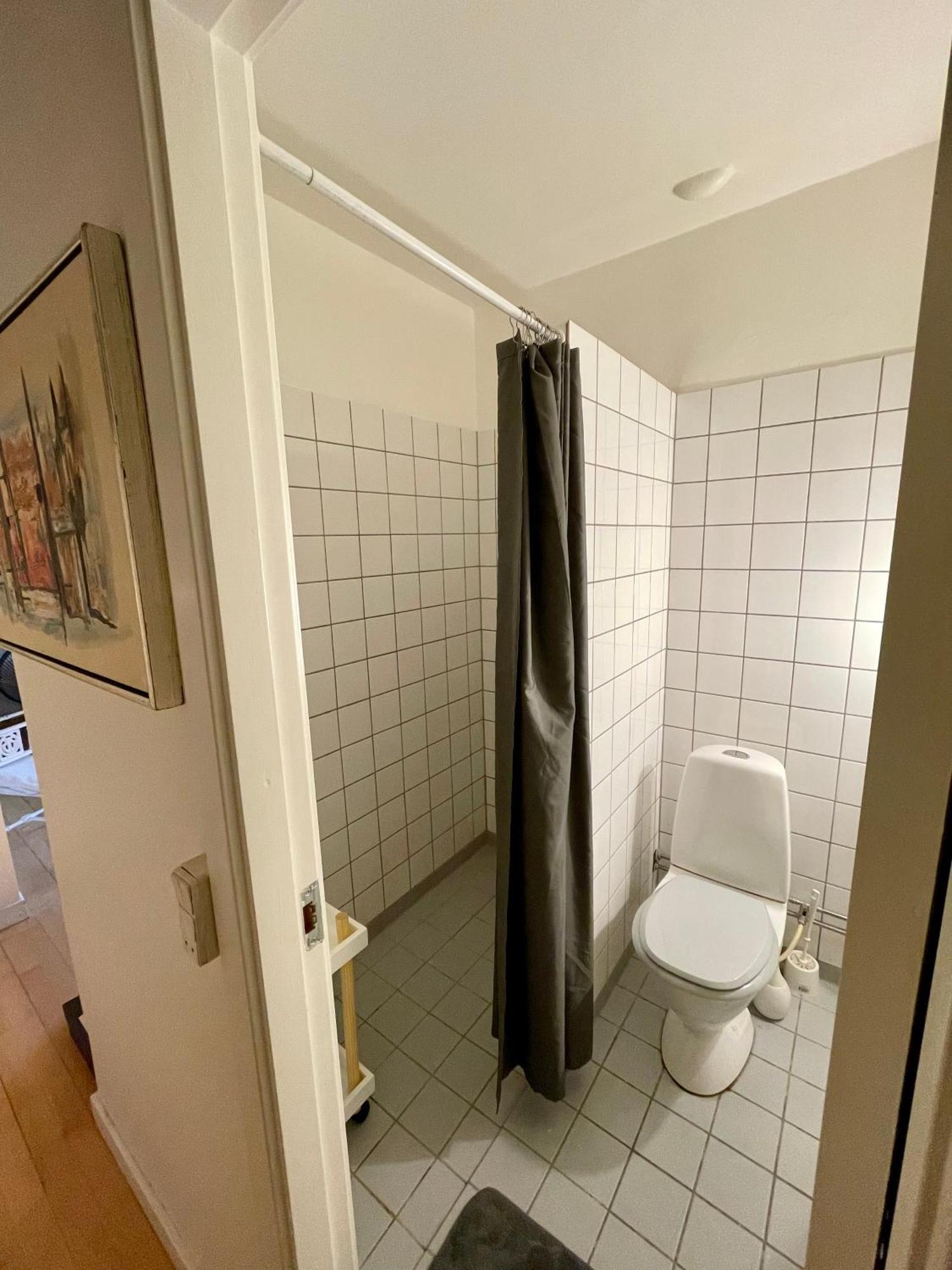 Lejlighed Med Udsigt Til Frederiksberg Have Kopenhagen Bagian luar foto